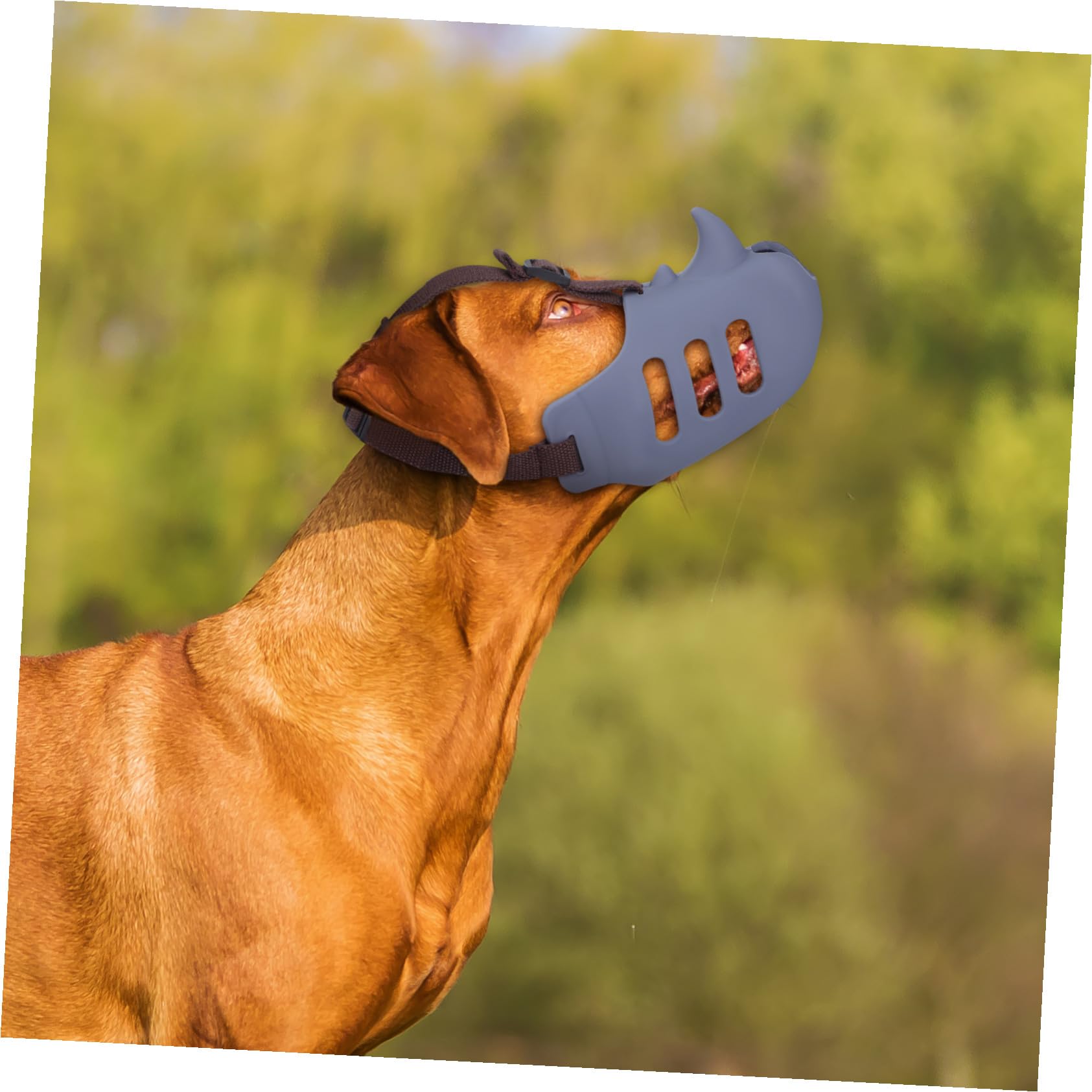 Museruola per Cani Regolabile Anti Morso 3 Pezzi in Silicone | Cani, Confezione Tripla, Riduce L’abbaio, Vestibilità Confortevole, per Toelettatura e Uso Prolungato