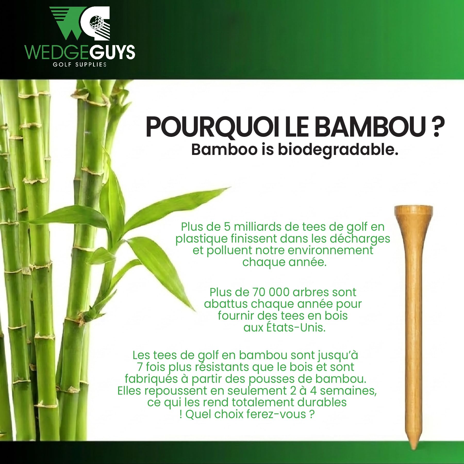 Wedge Guys Tees de Golf en Bambou Naturel - Tee de Golf Plus Résistants Que Le Bois - Accessoires de Golf de Haute Qualité - Approuvés par la PGA et l'USGA