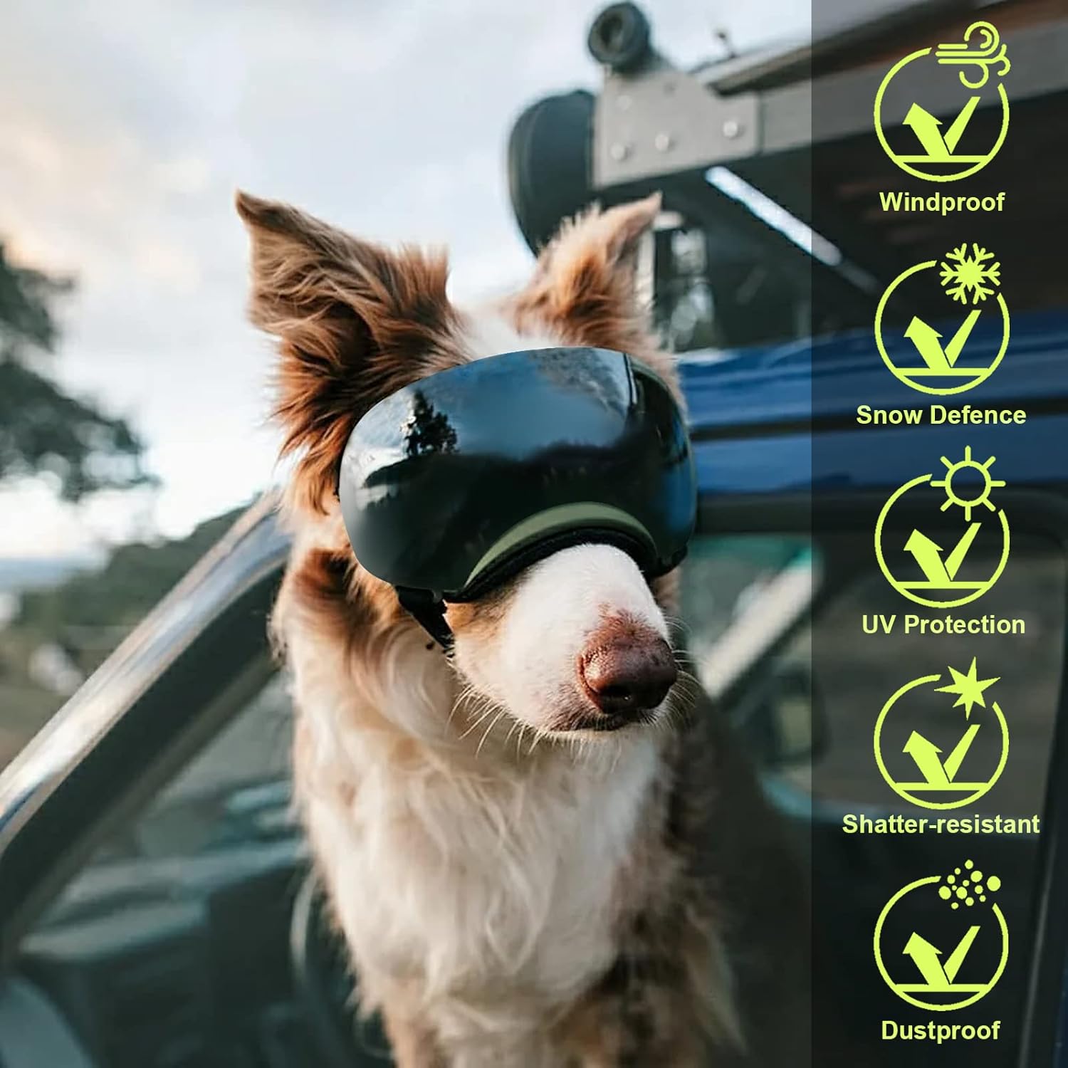 Ownpets Dog Goggles, Goggles with Adjustable Strap, Magnetic Design, Detachable Lens and UV Protection for Middle-Large Size Dog, Alaskan Malamute, Samoyed, Labrador and Border Collie (Green)