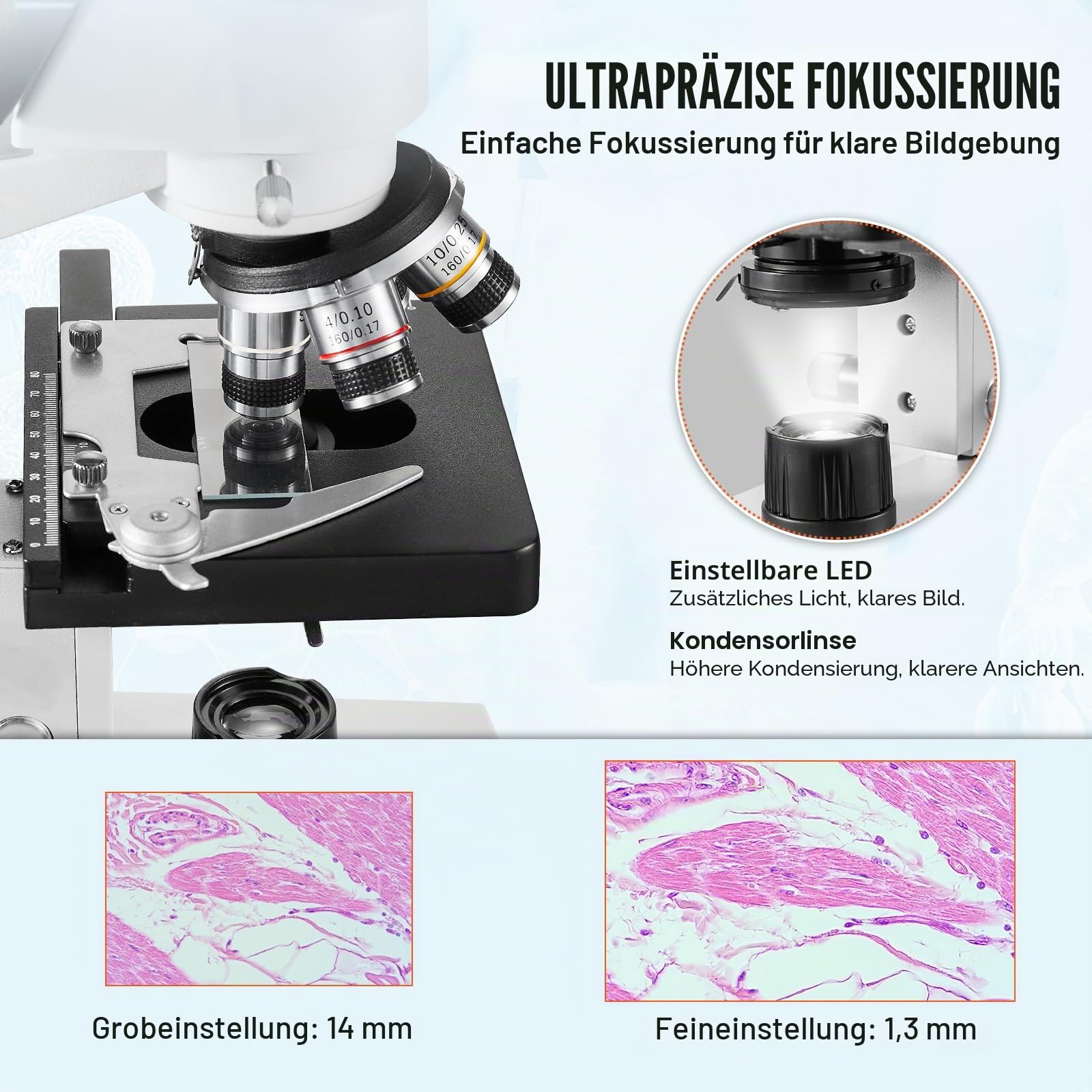 VEVOR Binokulares Mikroskop 10X, 25X, Compound Mikroskop, Objektive 4X, 10X, 40X, 100X, Labor Auflicht Binokulares Mikroskop Vergrößerung 40-2500, 100–240 V Labormikroskop Verbundmikroskop