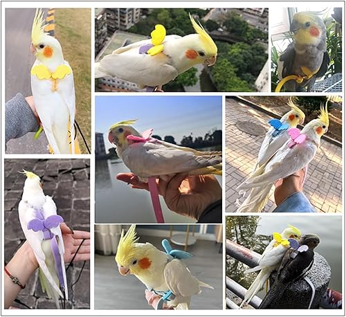Miniatura 3 de Arnés para pájaros, correa de loro, kit ajustable para volar al aire libre para loro, budgie, tortolito, cacatúa, guacamayo (morado, S)