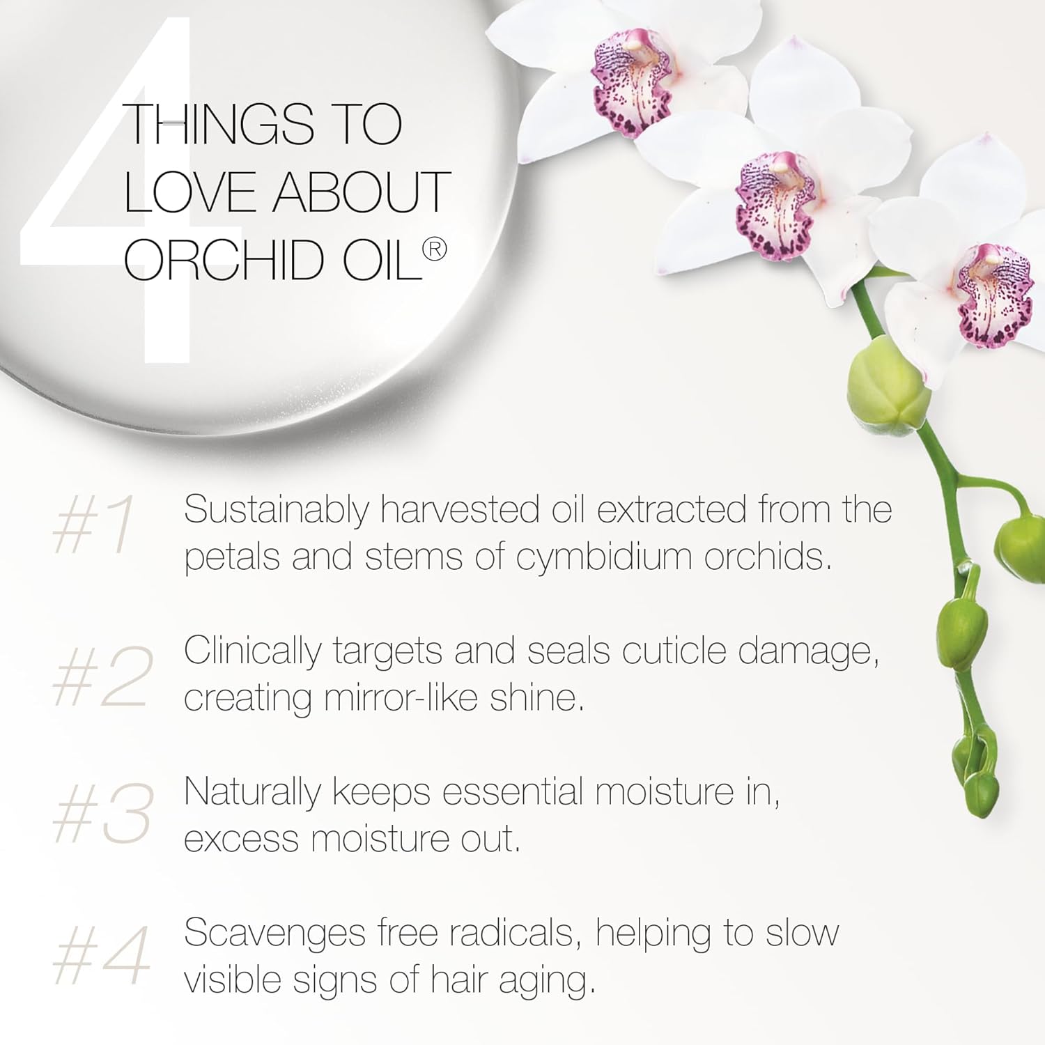 Redavid Orchid Oil Reconstructive Mask - Ultra Nourishing 15 Minute Weekly Treatment with Biofunctional Vitamin E and Coconut Oil for Curly and Damage Hair - Extreme Repair and Reconstruction - Image 2