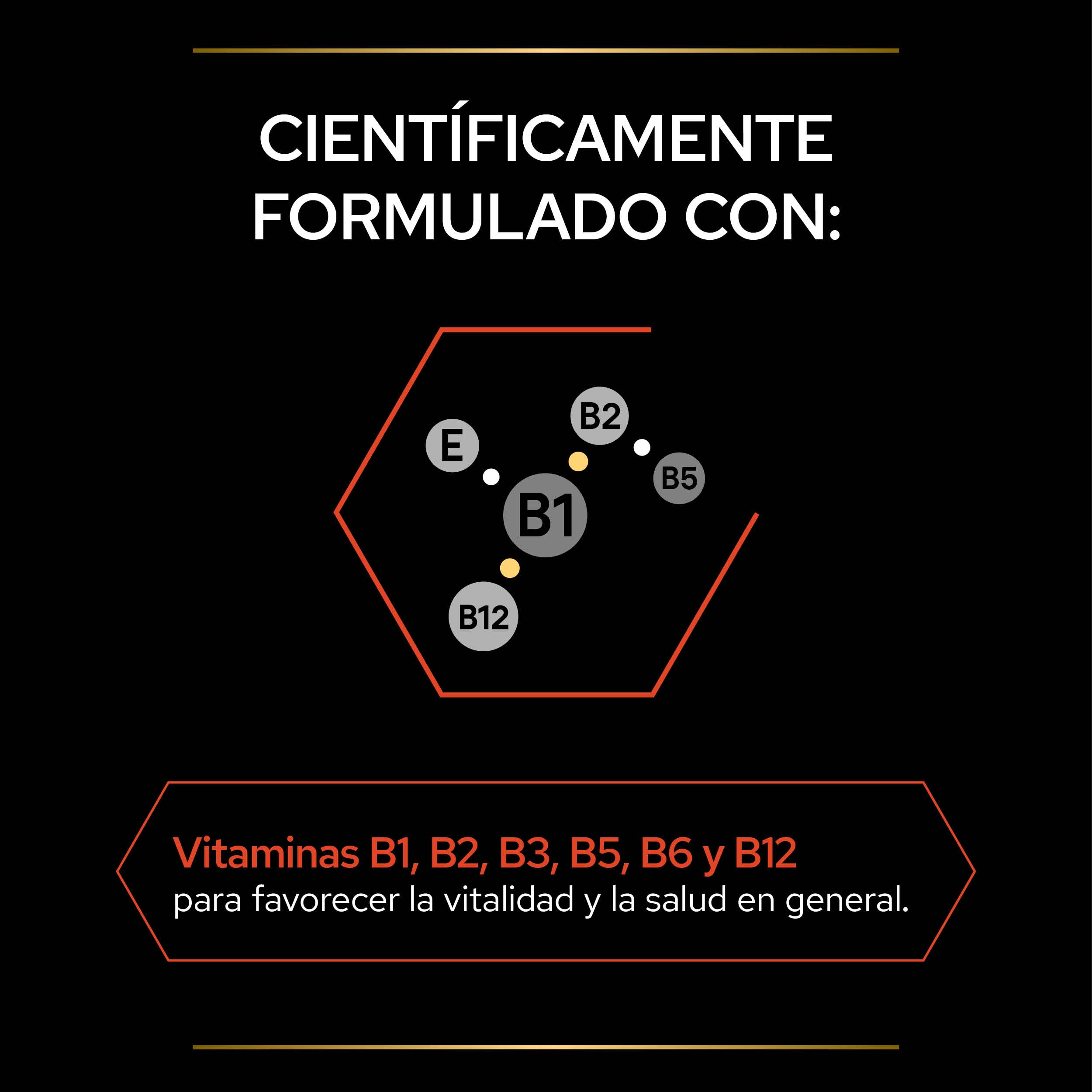 Purina Pro Plan Suplemento Gato Multivitaminas, energía, vitalidad, Vitamina B, en Polvo, 4 paquetes de 60g