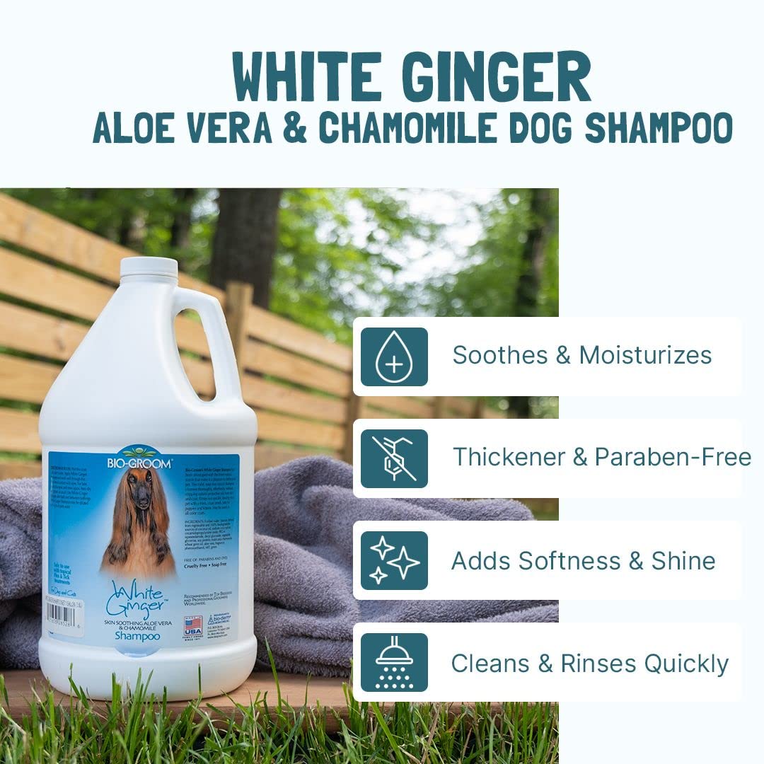 BIO-GROOM Blanc Gingembre Shampooing, 3,8 l