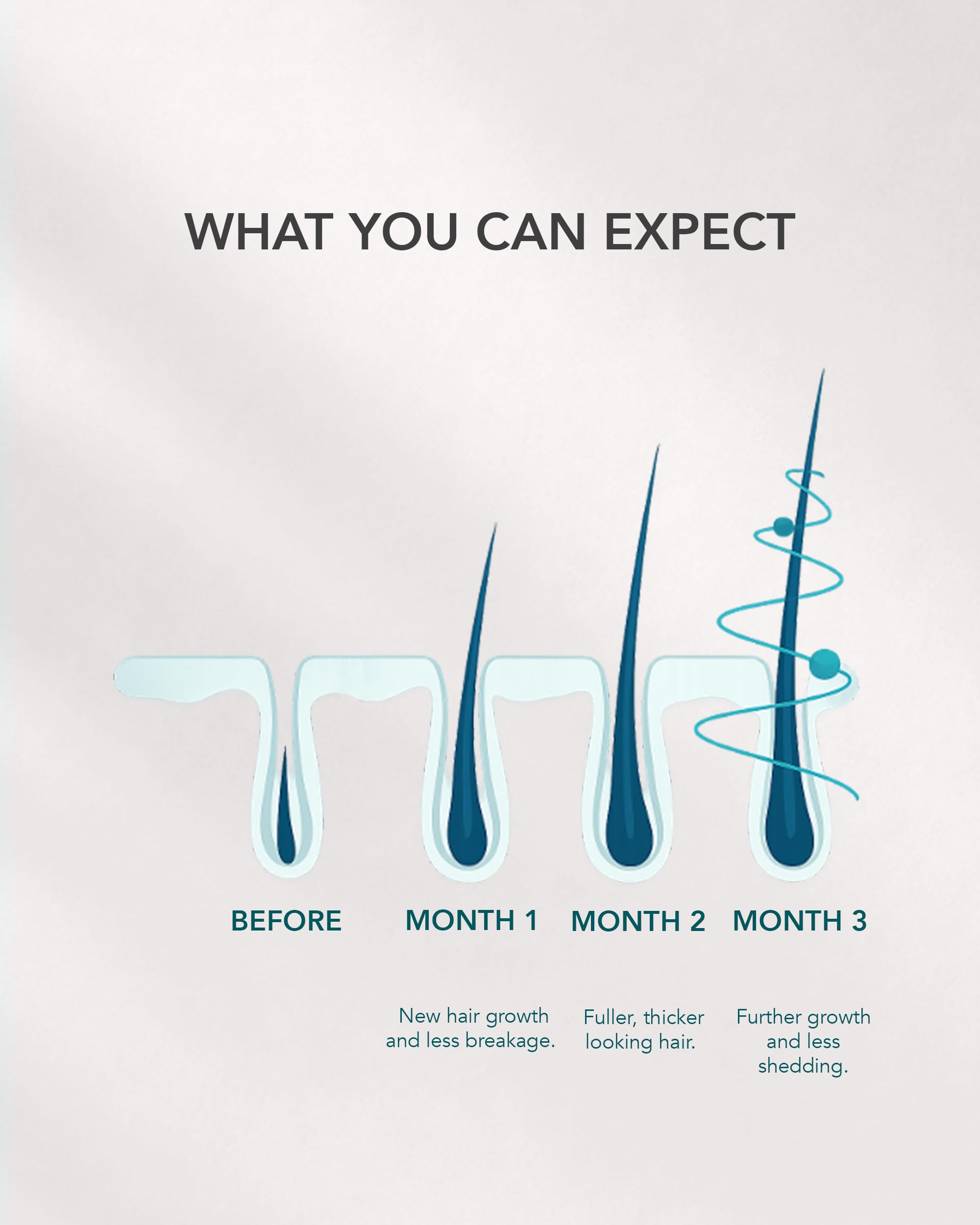 WE ARE PARADOXX Siero per cuoio capelluto da 50 ml, capelli più spessi e sani, tecnologia Trioplexx per la stimolazione del cuoio capelluto e dei follicoli piliferi, crescita avanzata, regalo di