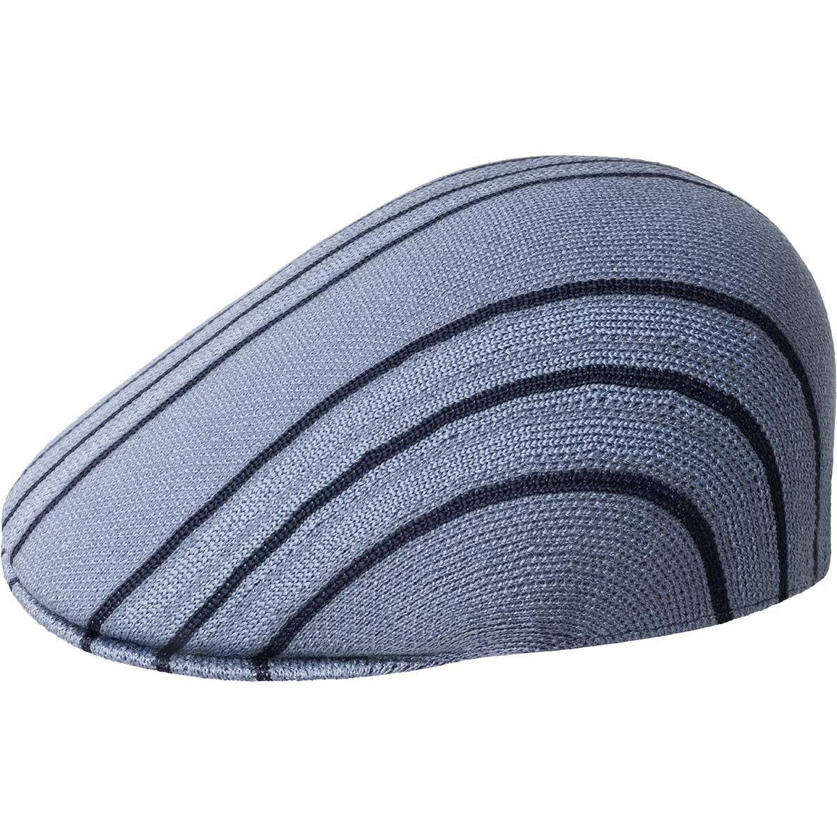 Kangol Women's Blue Don Stripe 507 Flat Cap Ivy Hat (M (56-57 Cm) - )