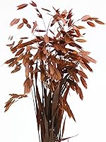 MOORCHOCO Dried Chasmanthium Grass Bundle, 20 Stems 15-17" Natural Brown Flower Bouquet for Vases, Weddings, Home Decor & Gifts
