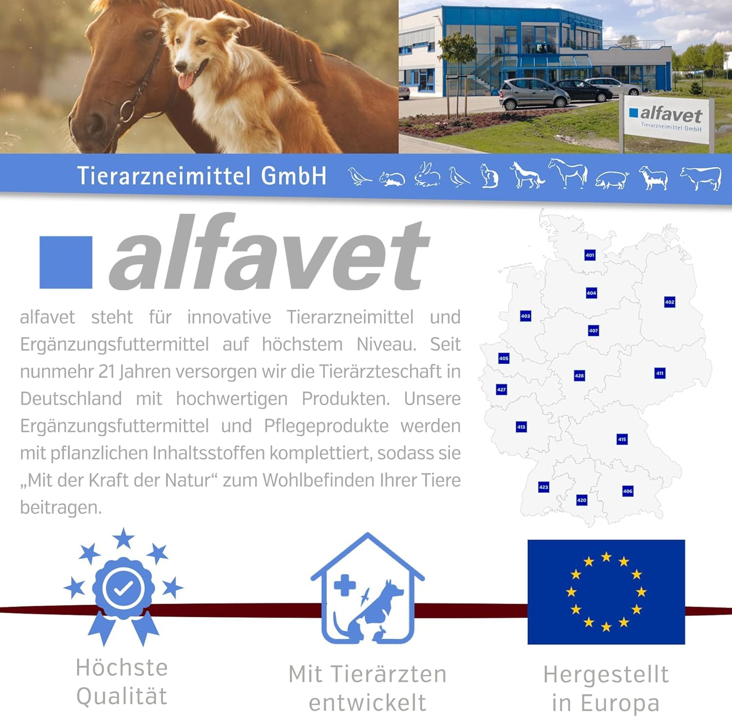 Alfavet ReConvales Päppelpaste - Crema de salmón - Pienso complementario para Perros pequeños y Gatos - 3 x 75g