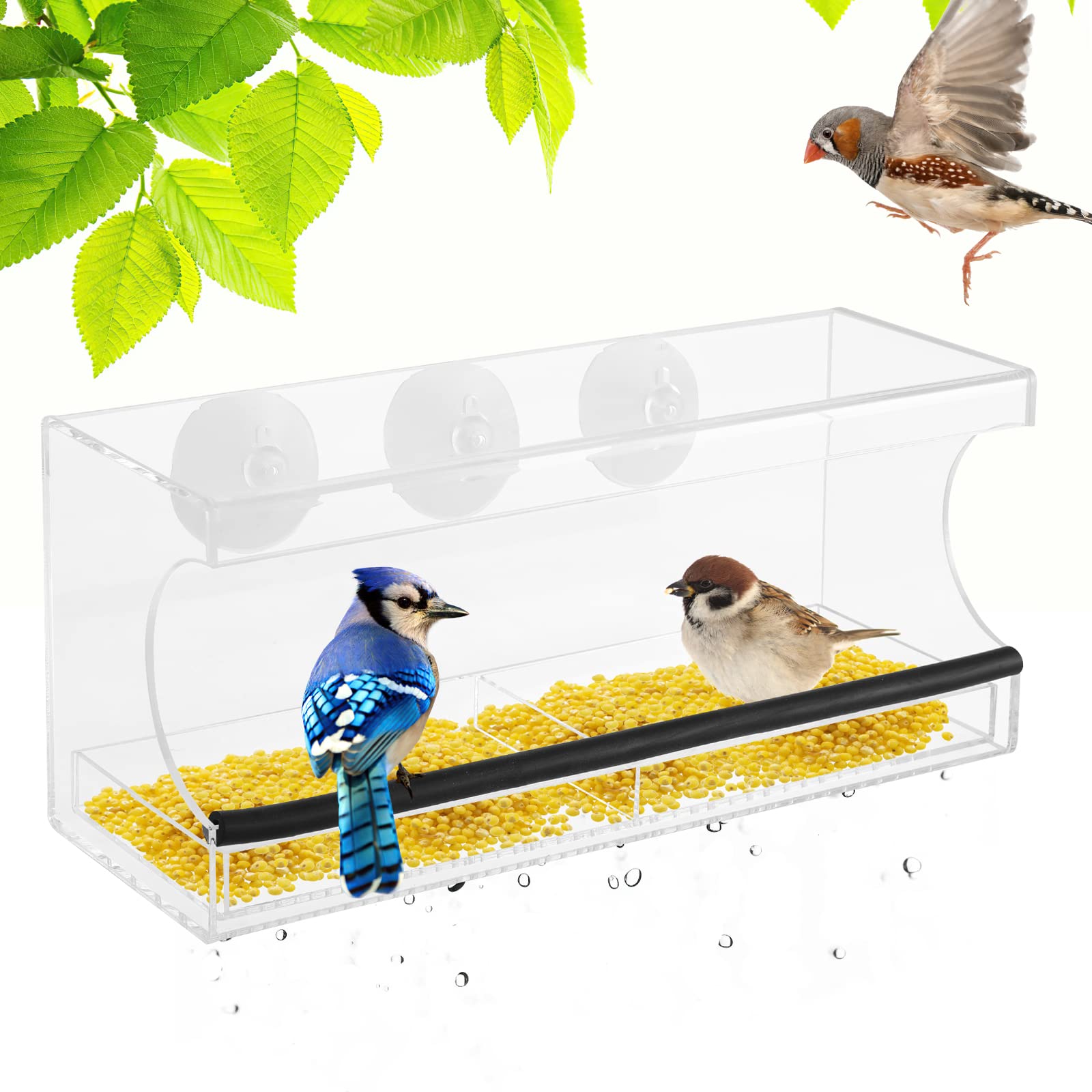 Buy Window Bird Feeder, Feeding Station for Birds, Transparent Window