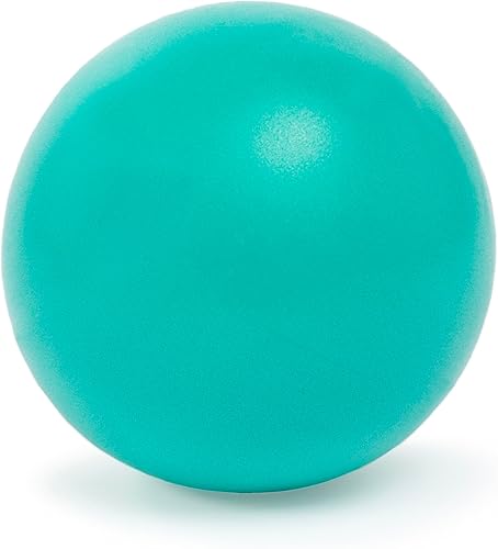 OPTP Bola de repuesto suave, bola inflable de terapia física de 12 pulgadas para ejercicio de columna cervical o vejiga de repuesto para el flotador