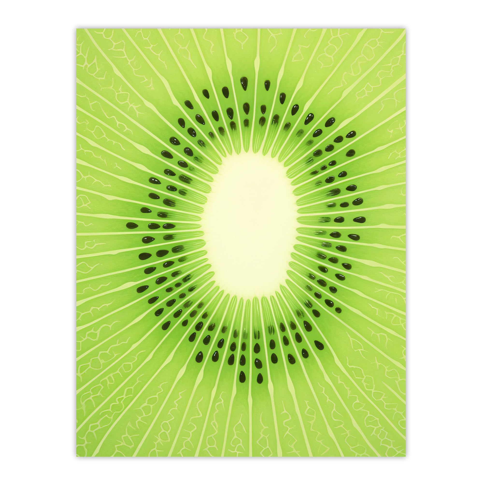 Artery8 Kiwi Fruit Slice Minimalist Kitchen Artwork Interior Decor Large Wall Art Poster Print Thick Paper 18X24 Inch