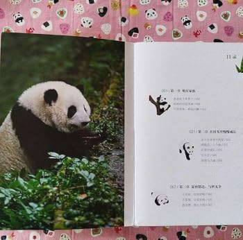 【今なら10枚まとめ売り】中国 パンダ  熊猫 中国 2025年 パンダ銀貨 10元銀貨 未使用 | オンラインショップ