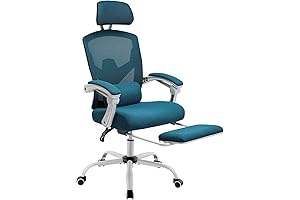 DUMOS Reclining Office Computer Desk Chair for Adults
