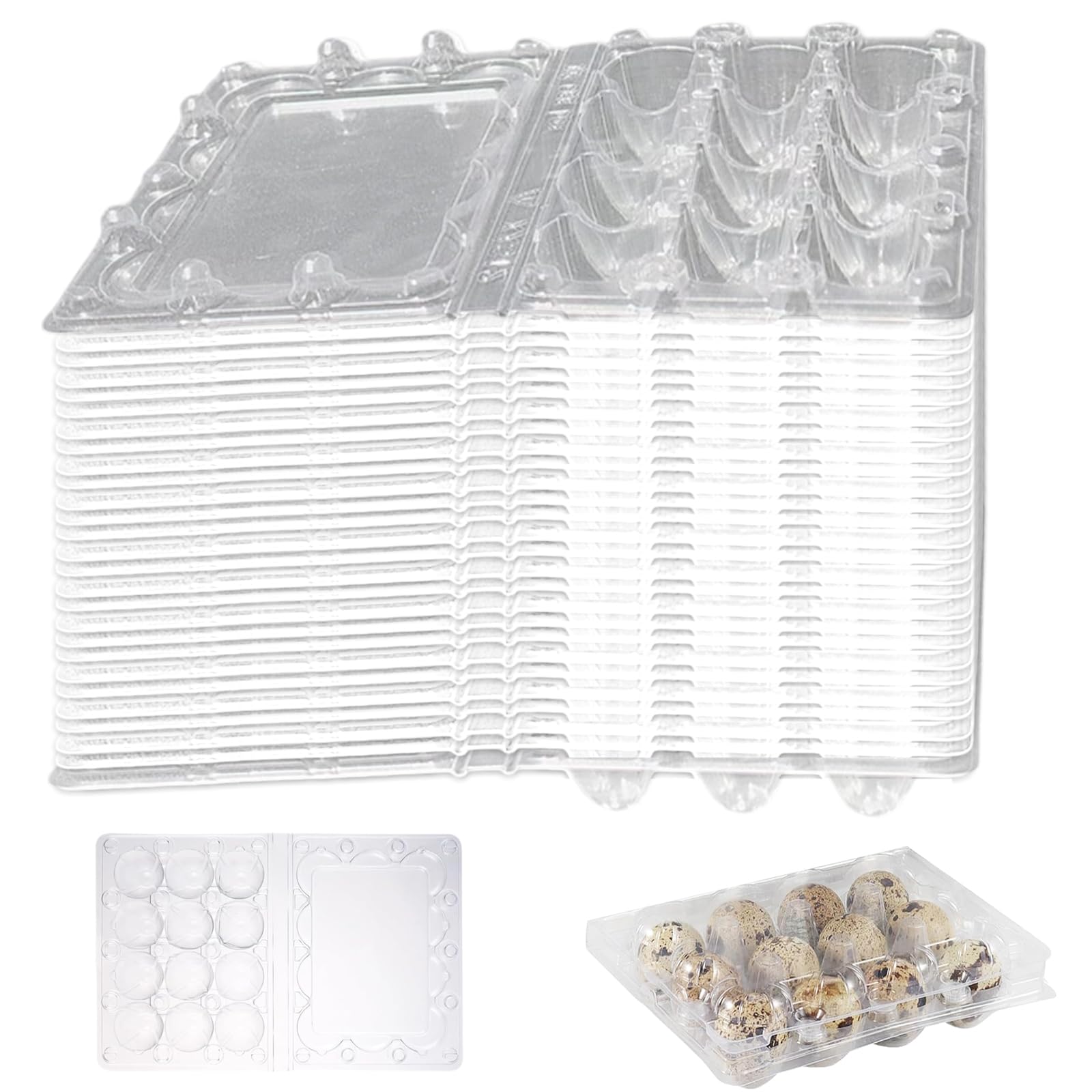 Caja Plástica para Huevos de Codorniz Reutilizable | Cajas de Almacenamiento Transparente para 12 Huevos | Ideal para Camping, Frigoríficos y Transporte | Set de 30 Unidades