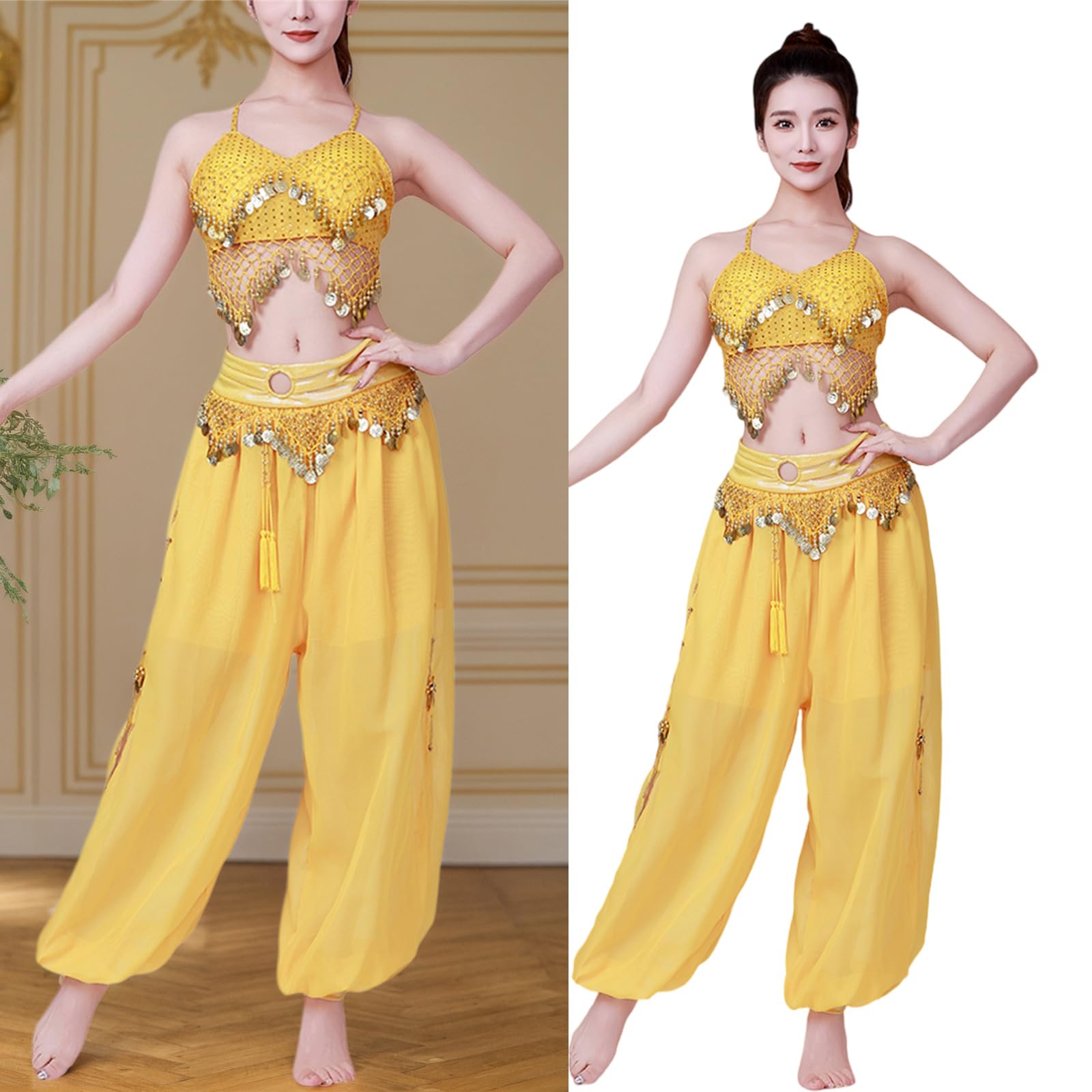 Set di 2 costumi da danza del ventre da donna, reggiseno a moneta, top harem, pantaloni, costumi da palcoscenico per Halloween, set di costumi