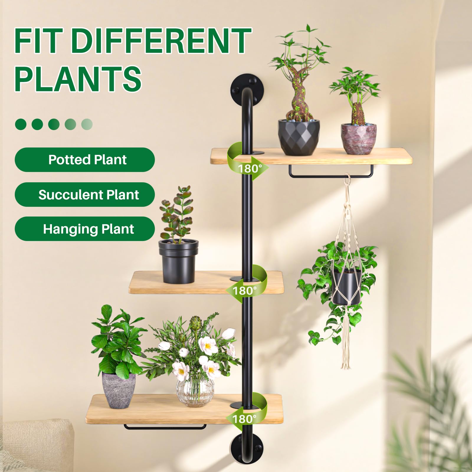 Snapklik.com : DELLAN Window Plant Shelves, Rotating Plant Shelf For