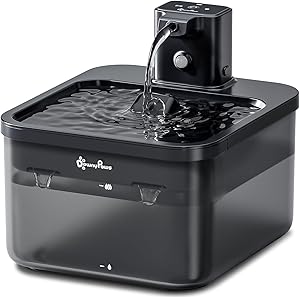 71g0zjY6wlL. AC SL300