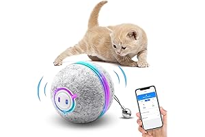 Interactive Smart Cat Toy: Smart Fun for Curious Cats