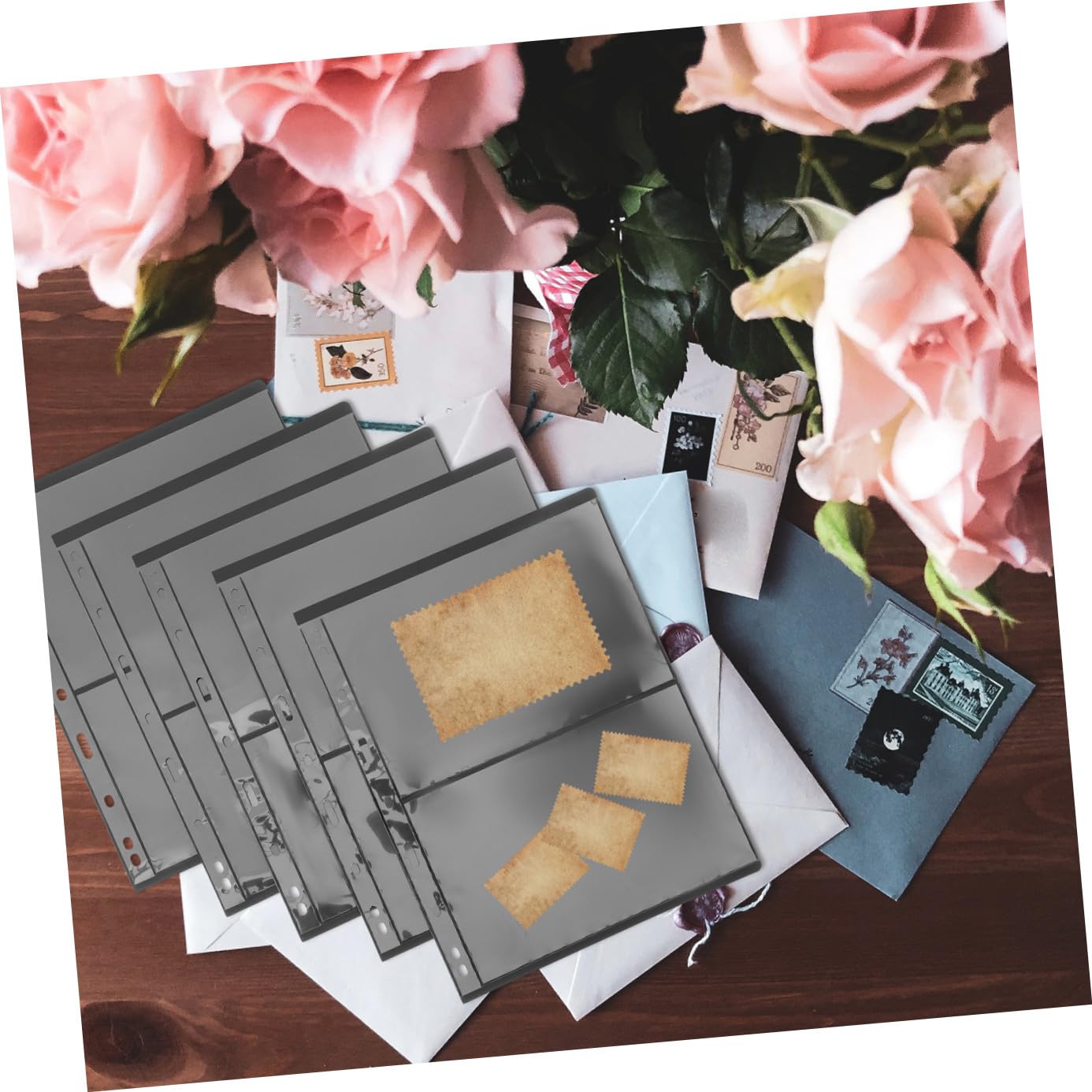 Beavorty Album de Timbres Noir Pvc Transparent 10 Pochettes Double Face Faciles à Utiliser pour Collection de Timbres et Photos