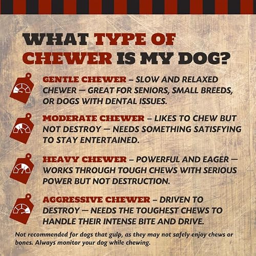 THE COUNTRY BUTCHER 7\" Beef Marrow Dog Bones for Aggressive Chewers, Large Breed Dog Treat, Natural, Tough, Chew Toy, Made in The USA, 3 Count - Thumbnail 5