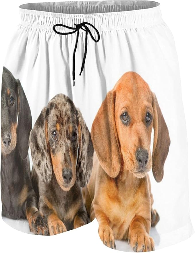 497 Men's Swim Trunks,Group Dachshund Puppies Lyin,Beachwear Swimsuits