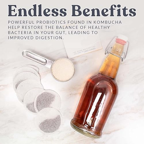 Miniatura 4 de Cultures for Health Tarro de cerveza continua de kombucha con espita  Tarro de vidrio de 5 litros con boquilla para fermentación de bricolaje  Tarro