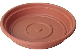 Bloem 16 Inch Terracotta Plant Saucer