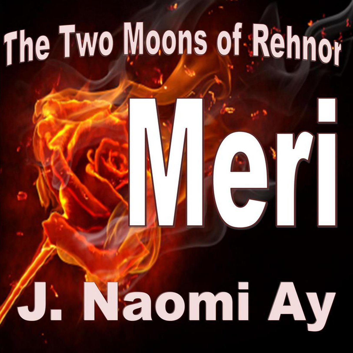 Cover art for Meri