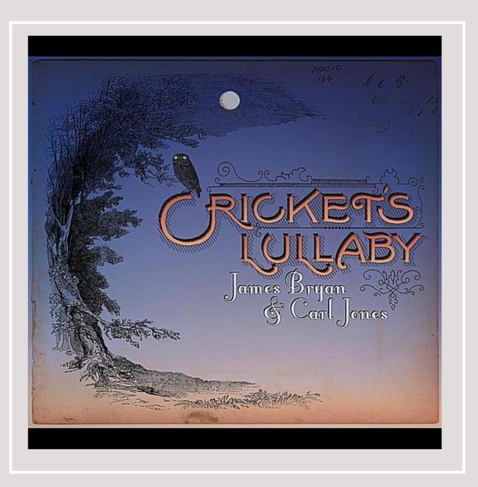 Cricket's Lullaby