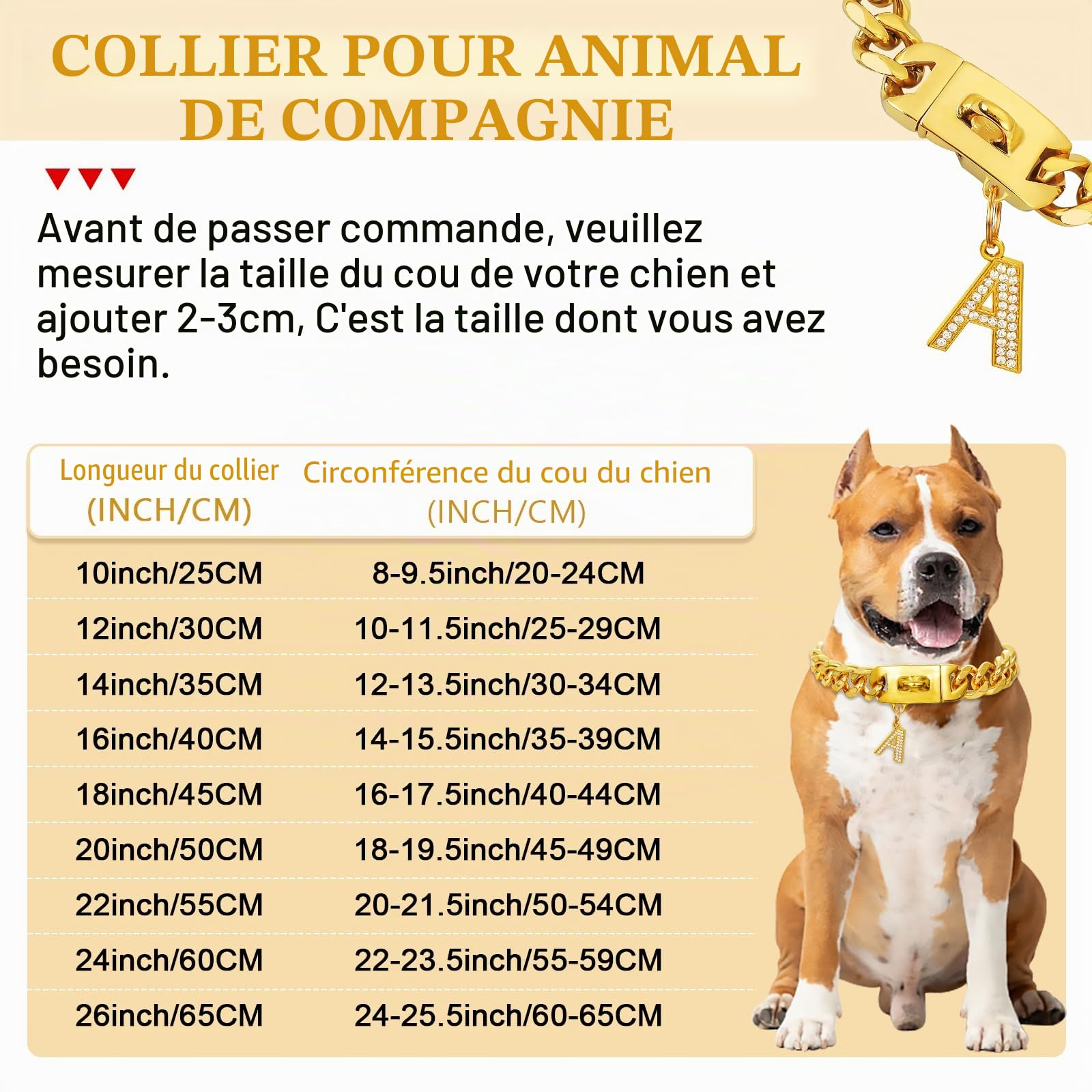 Collier doré pour chien avec pendentif, collier en métal et acier inoxydable de 19 mm de large, maille lourde cubaine, colliers robustes et résistants à la mastication pour chiens de taille moyenne et