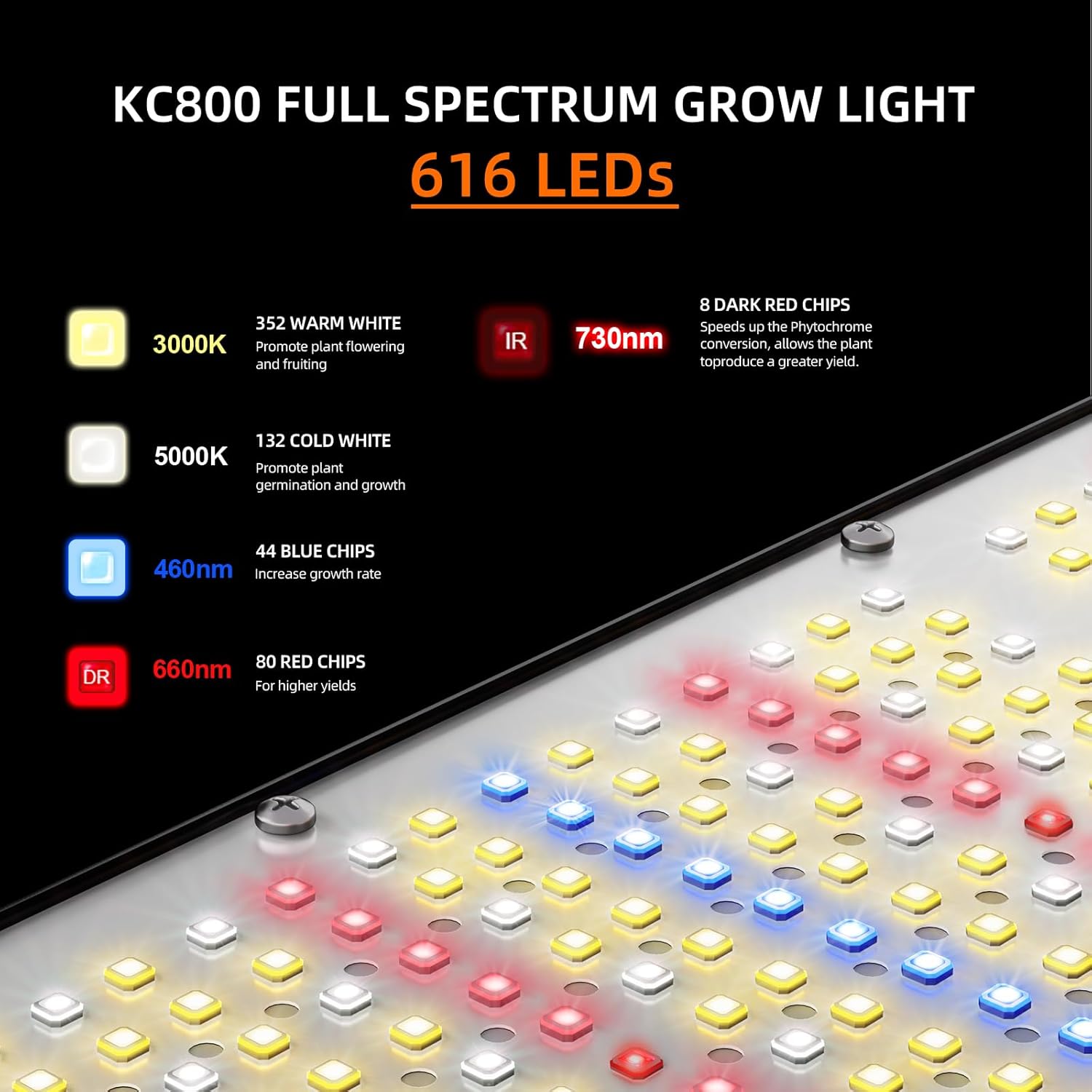 Detailed view of the LED arrangement and spectrum types on the KOSCHEAL KC800