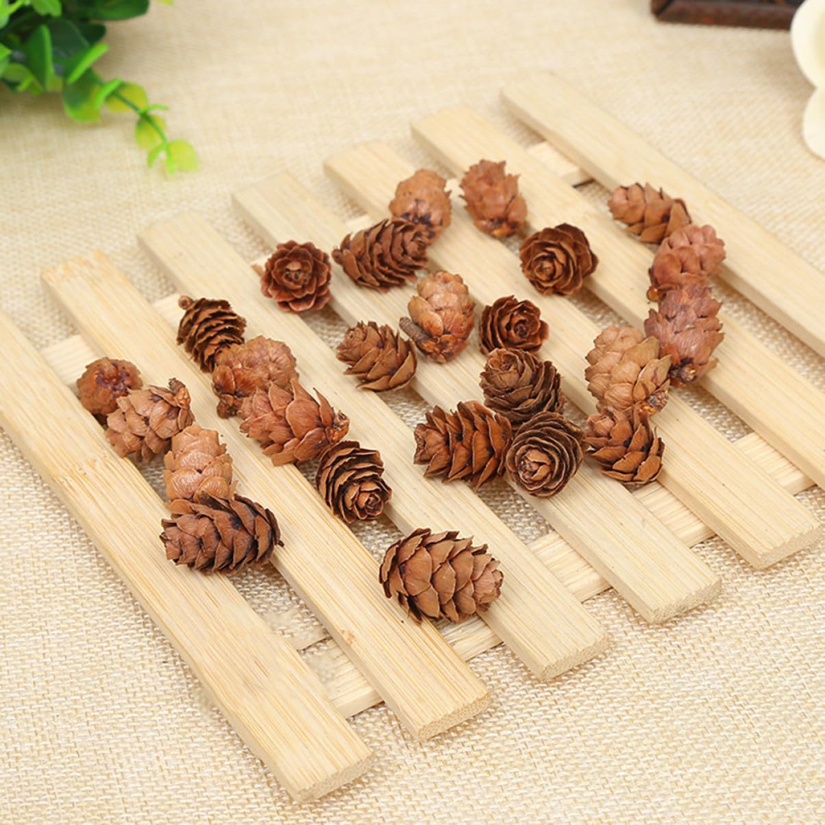 LIFKOME 210 Piezas Piñas de Mini Piñas Naturales Secas Decoraciones Hogar para Acción de Gracias y Navidad