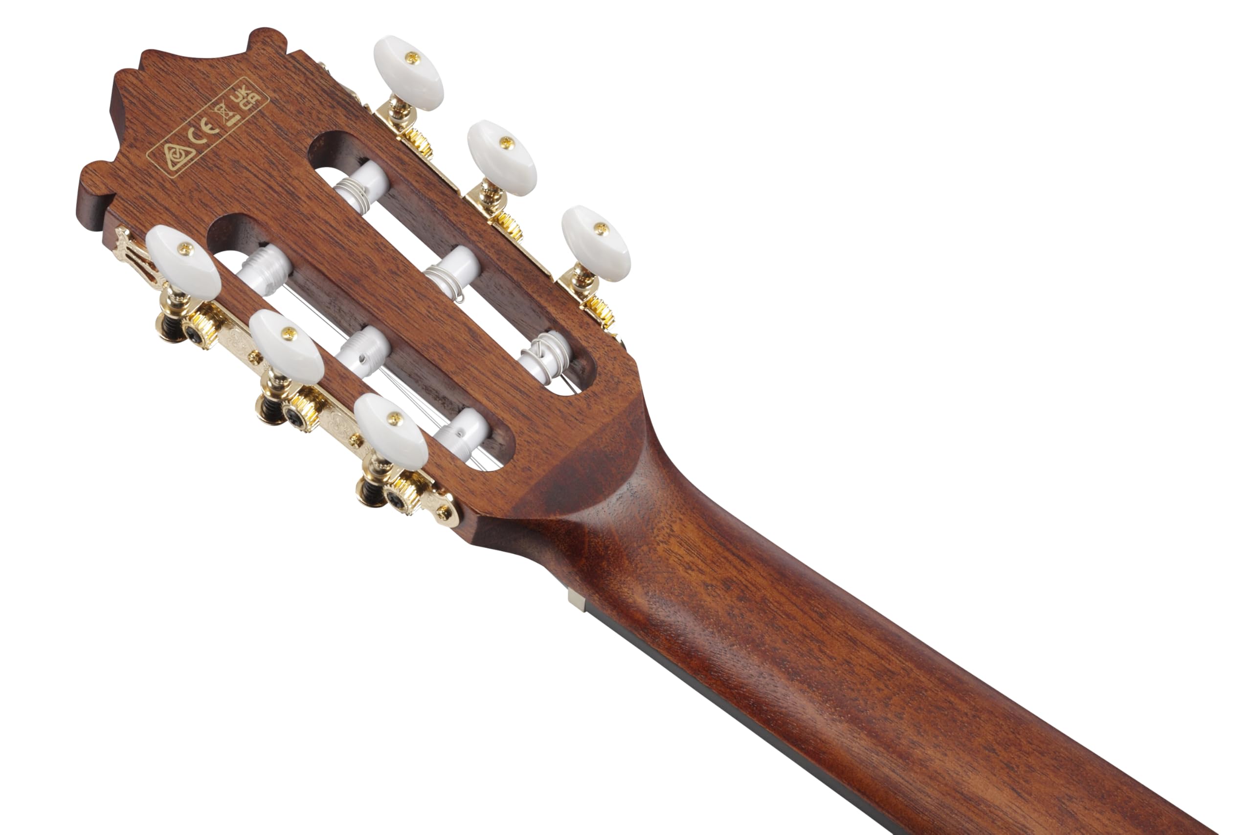 Ibanez Acoustic guitar / GA5MHTCEOPN Standard