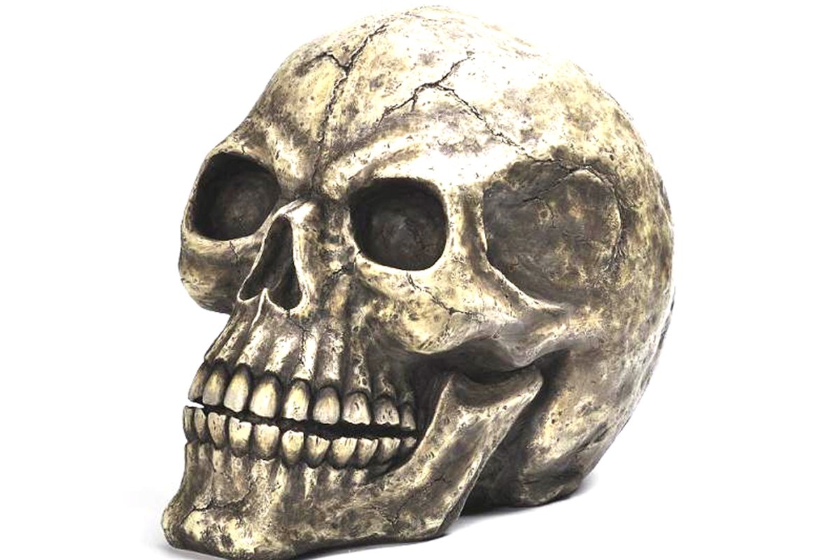 Pacific Oversized Skull pour vos soirées d'été et sorties décontractées