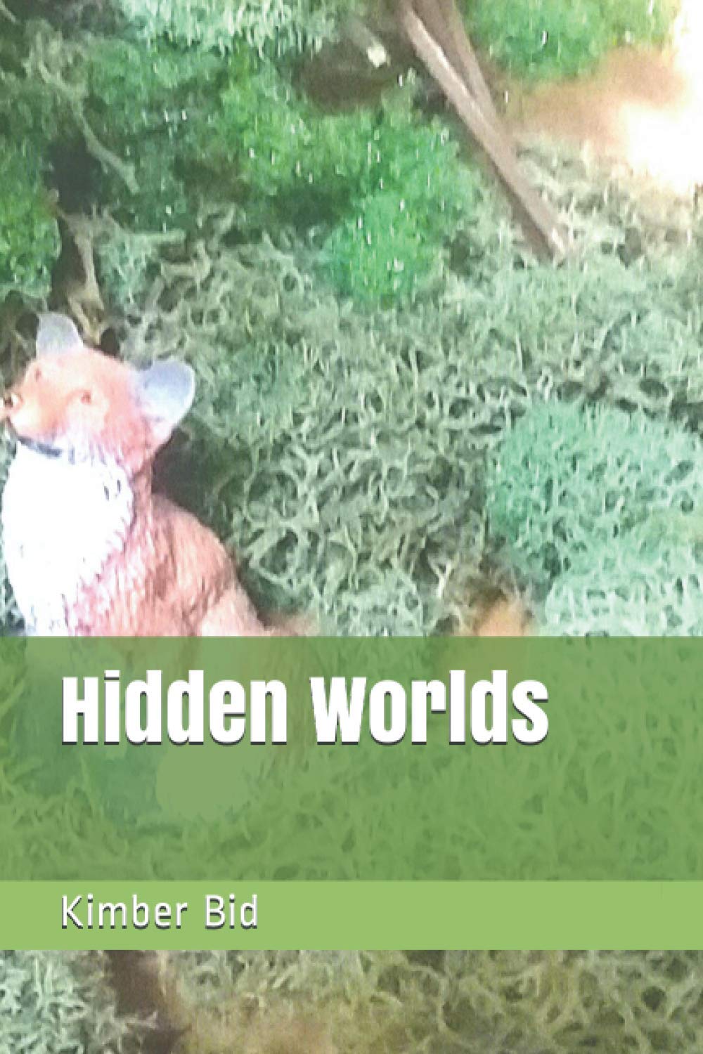 Hidden Worlds