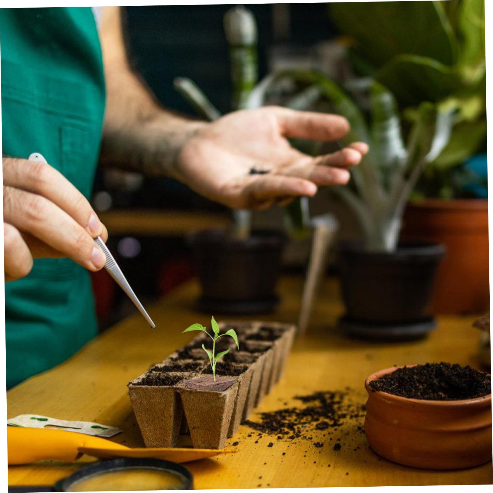 SUPVOX 160pièces Cubes De Culture Soilless Bloc De Germination pour Plantes Supports De Croissance Écologiques pour Transplantation Et Propagation Jardinage