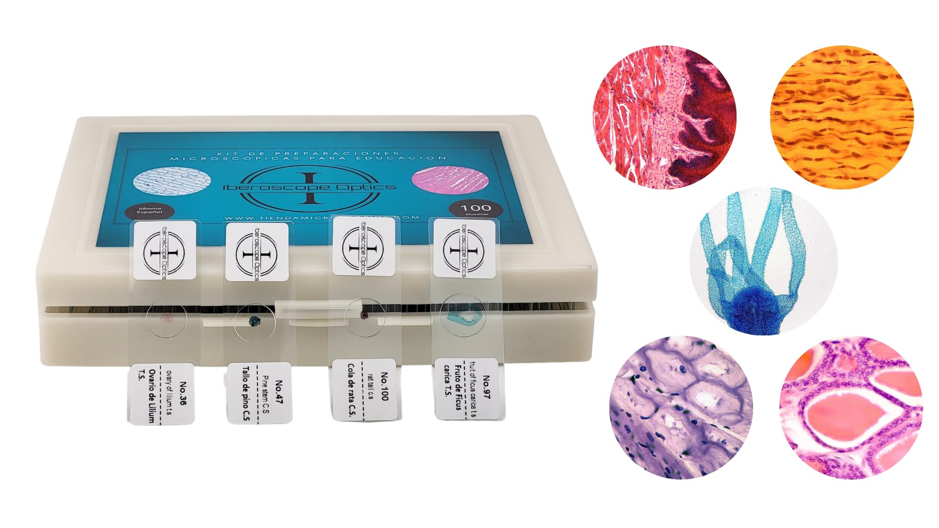 100 Muestras Preparadas para Microscopio en Español + USB con Manual de Microscopía | Set Educativo Estudiantes y Adultos |Vidrio Óptico