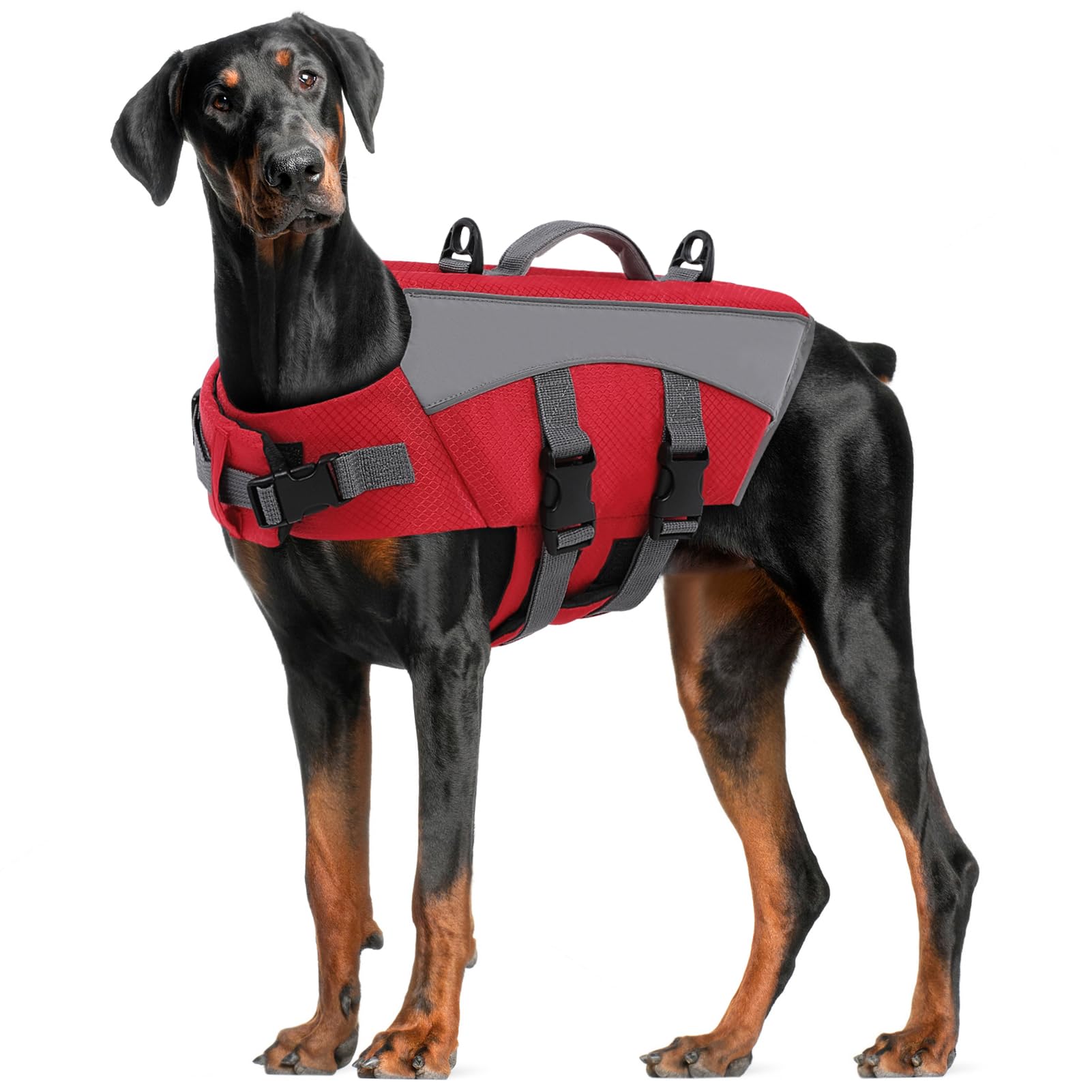 CITÉTOILE Chaleco Salvavidas para Perros - Chaleco Reflectante Flotante con Asa, Flotadores y Correas Ajustables para Seguridad en Agua, Piscina, Rojo, XXL