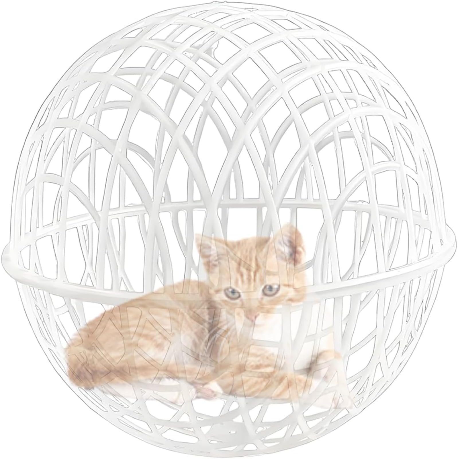 Cage à Poulet Ronde Portable - Clôture de sécurité pour Poules, Lapins, Pigeons de Canard - Fattoria Cortile Boule de Poulet - 40 x 40 cm - Jardin Outr - Zone pour Animaux domestiquesdoo