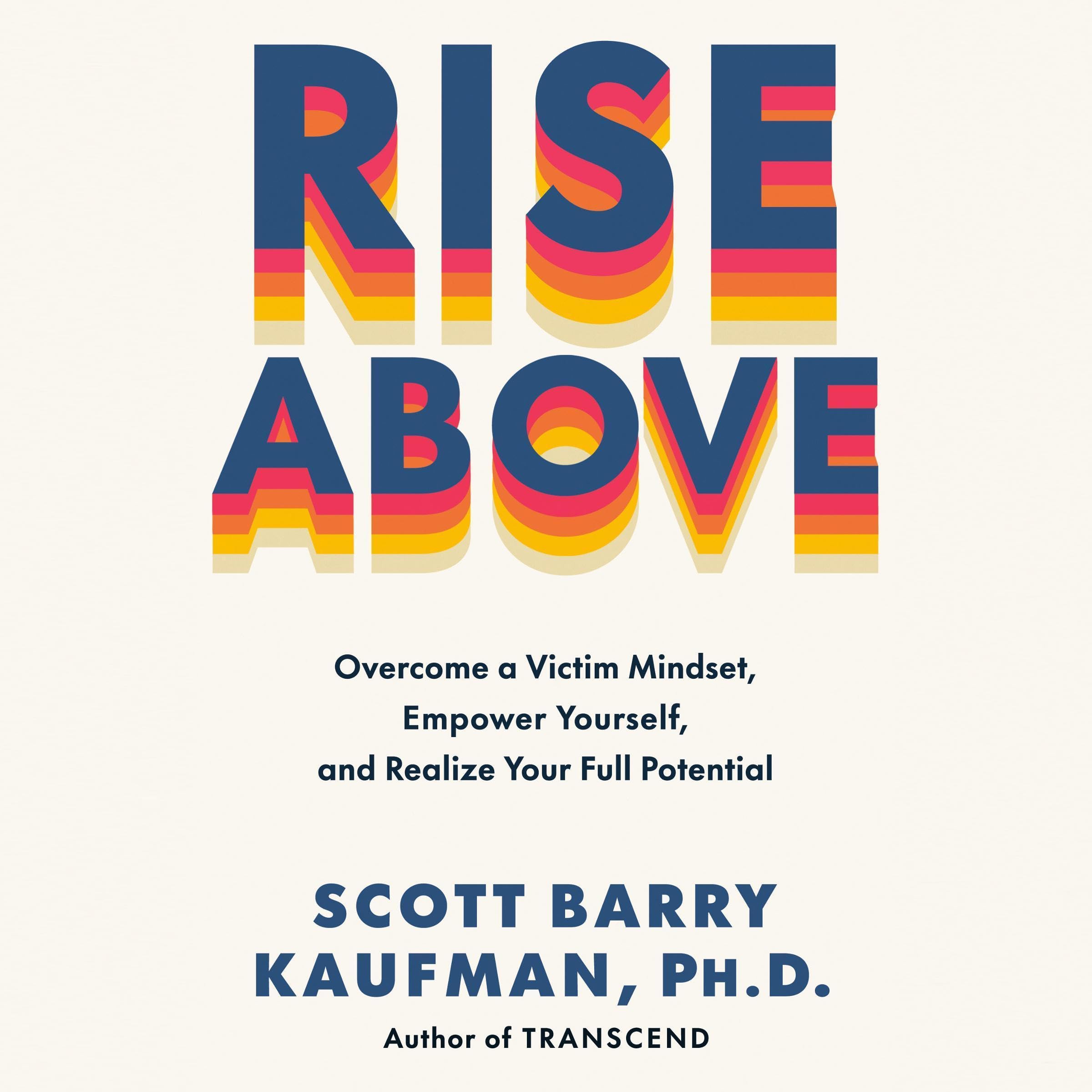 Cover art for Rise Above