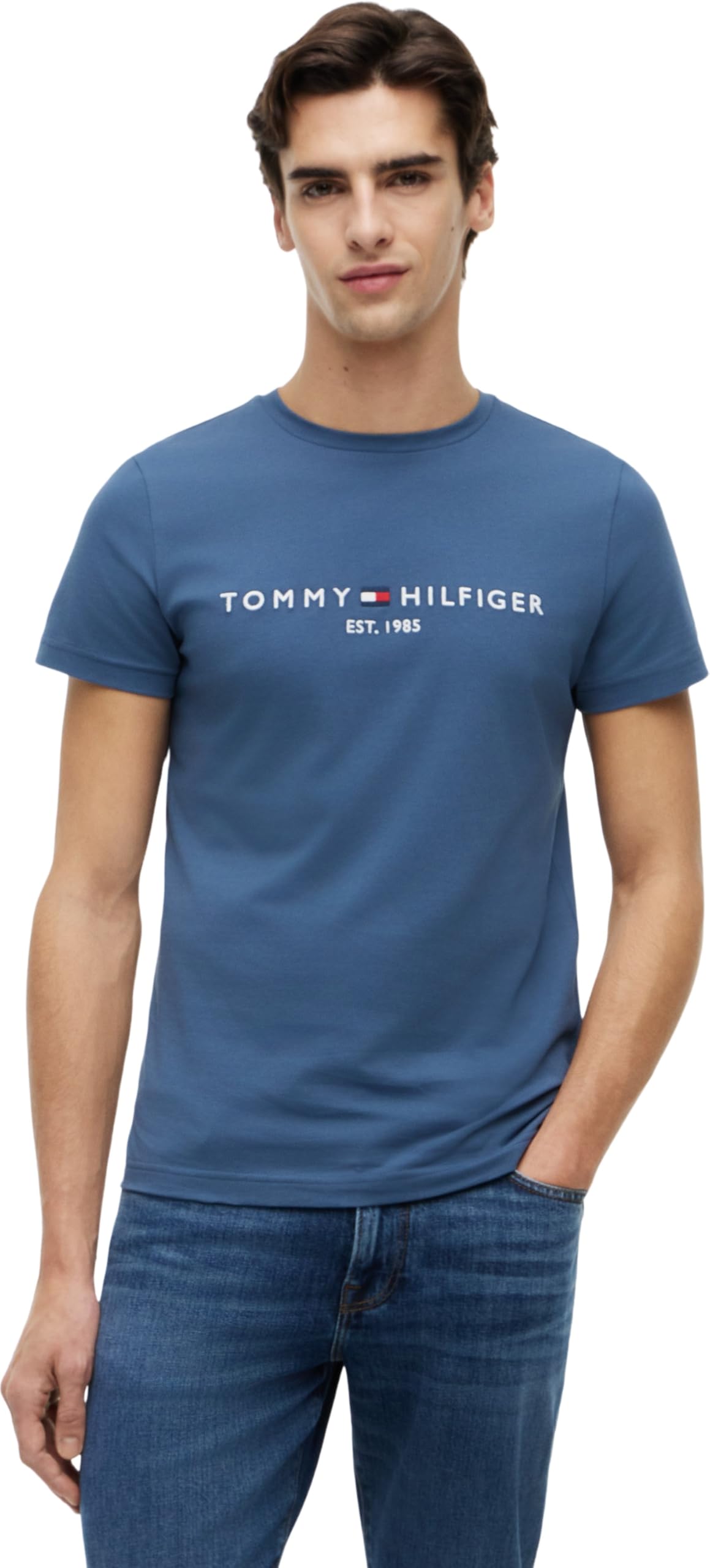 Tommy Hilfiger Men's Blue Linear Logo Embroidery T-Shirt - M