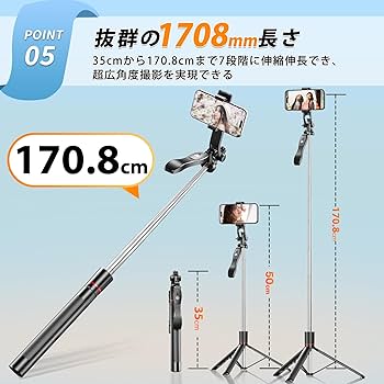 たつおじじ 楽天市場】2個 タツノオトシゴ 竜の落とし子 シーホース 海馬