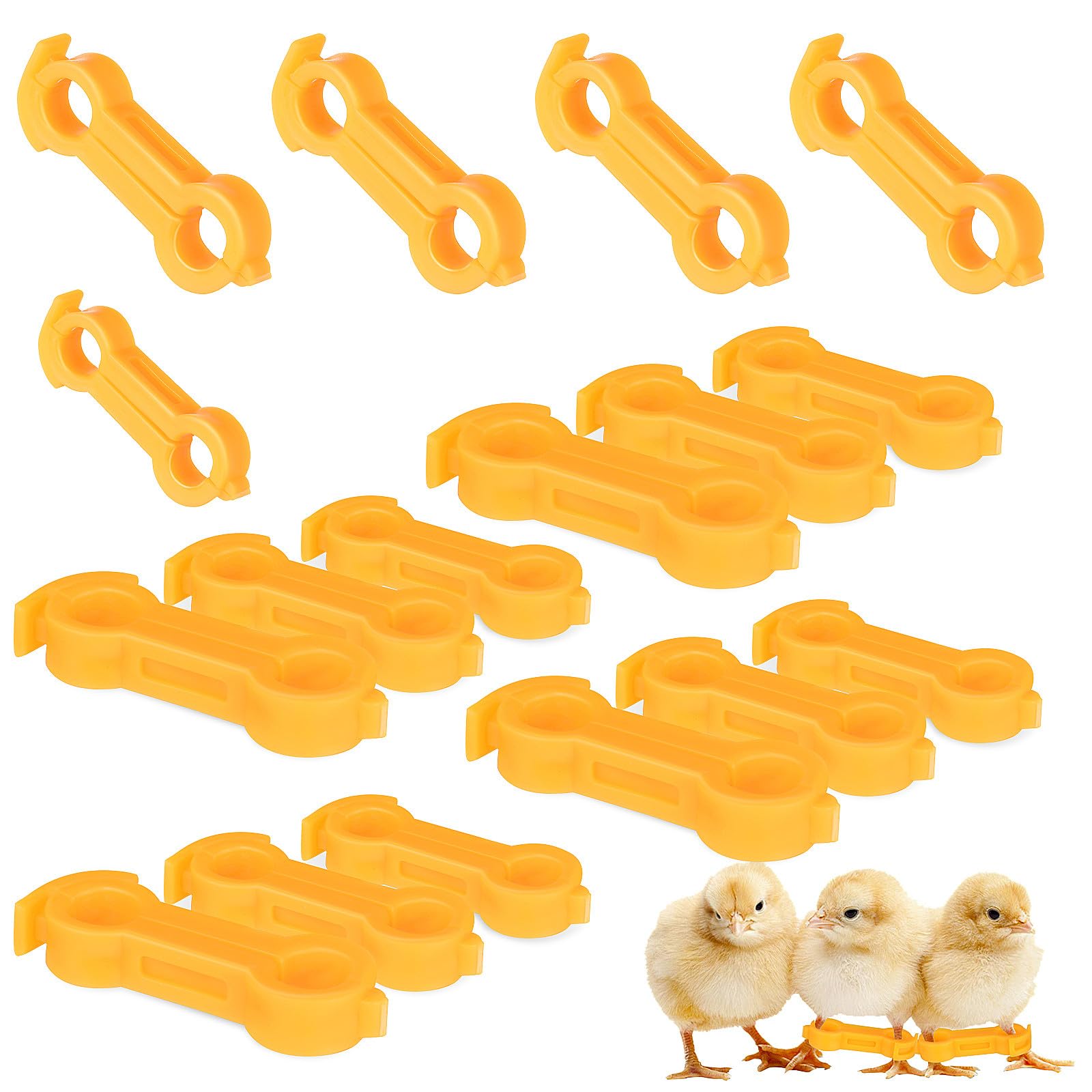 Soporte Corrector para Patas de Loro y Paloma, Anillos de Silicona, 12 Unidades (4mm×21mm, 5mm×26mm, 6mm×30mm), Ayuda para Corrección y Apoyo en Pájaros Bebés, Uso en Salud