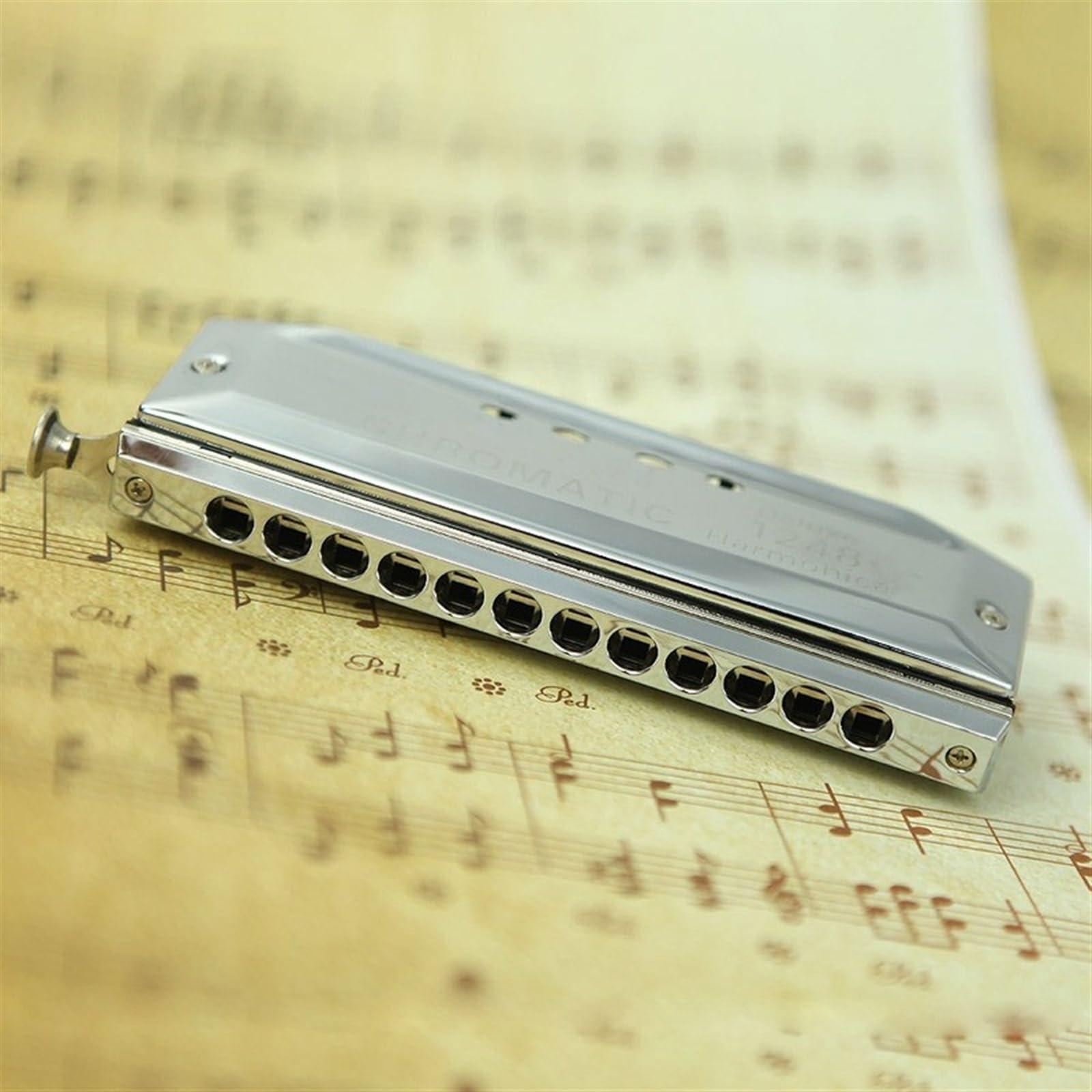 Armonica Cromatica A 12 Fori 48 Tone C Key Harmonica Strumento Musicale A Fiato Con Custodia Armonica Strumento Musicale
