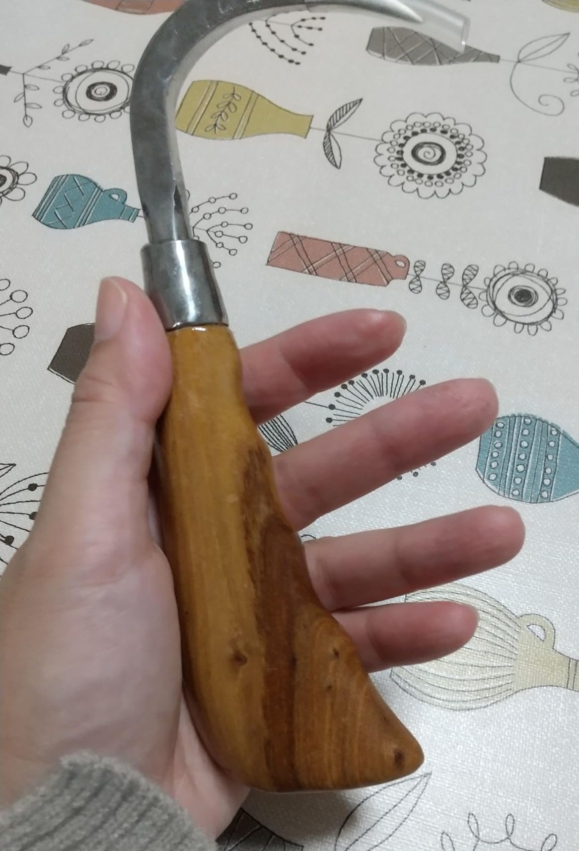 Amazon.co.jp: Thujopsis 手鉤 ノンコ 畳屋鉤 タタミヤ 張り替え 魚鉤 ギャフ 脳締め 全長168㎜ 錆びにくい ...