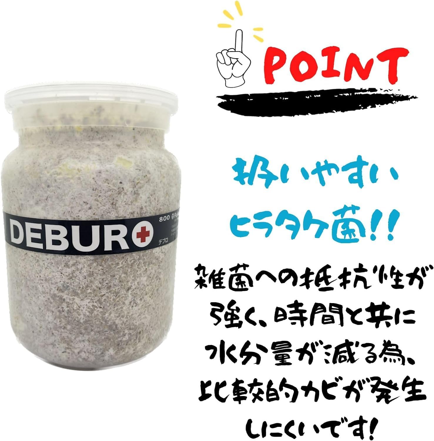 極上！ヒマラヤひらたけ菌糸瓶　800ml【10本】ニジイロクワガタにお薦め！ 楽天市場】【E-800】クワガタ幼虫用菌糸ビン クワガタ幼虫飼育