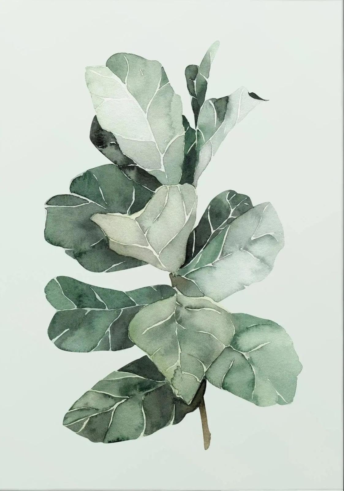 Baibexing Minimalist Tropical Leaf Digital Nature Canvas Painting Posters Prints Wall Art For Living Room Home Decor A3 30X40Cm Unframed