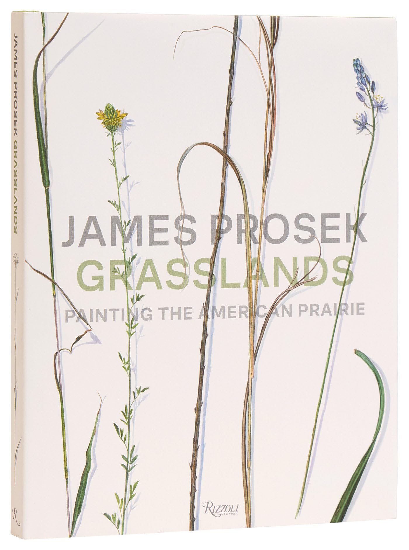 James Prosek Grasslands: Painting the American Prairie