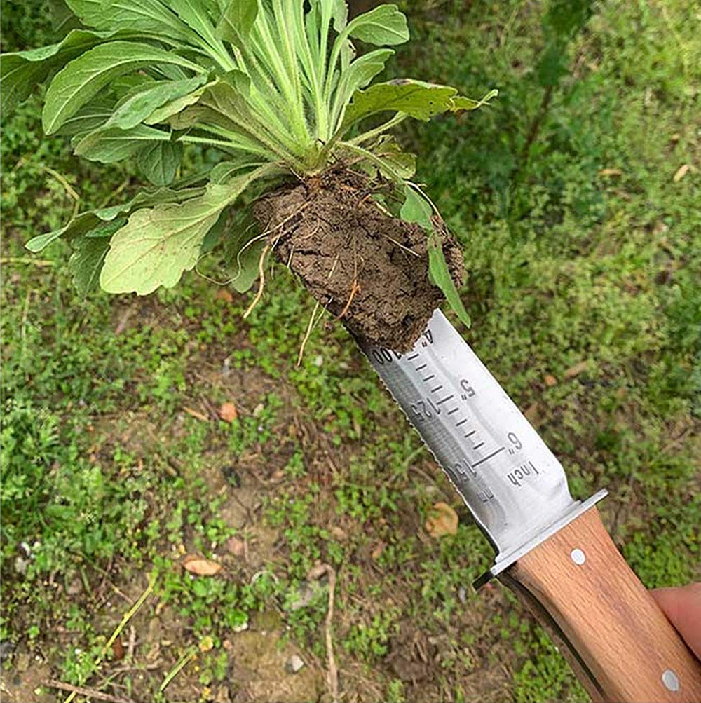 TATUNER Berry Bird Hori-Hori Gartenmesser Boden Schaufel Barebones 6 Zoll gezackte Klinge Pruner zu entfernen Unkraut Wurzeln Gartenarbeit Digging Tool (einschließlich Sharpening Tool)