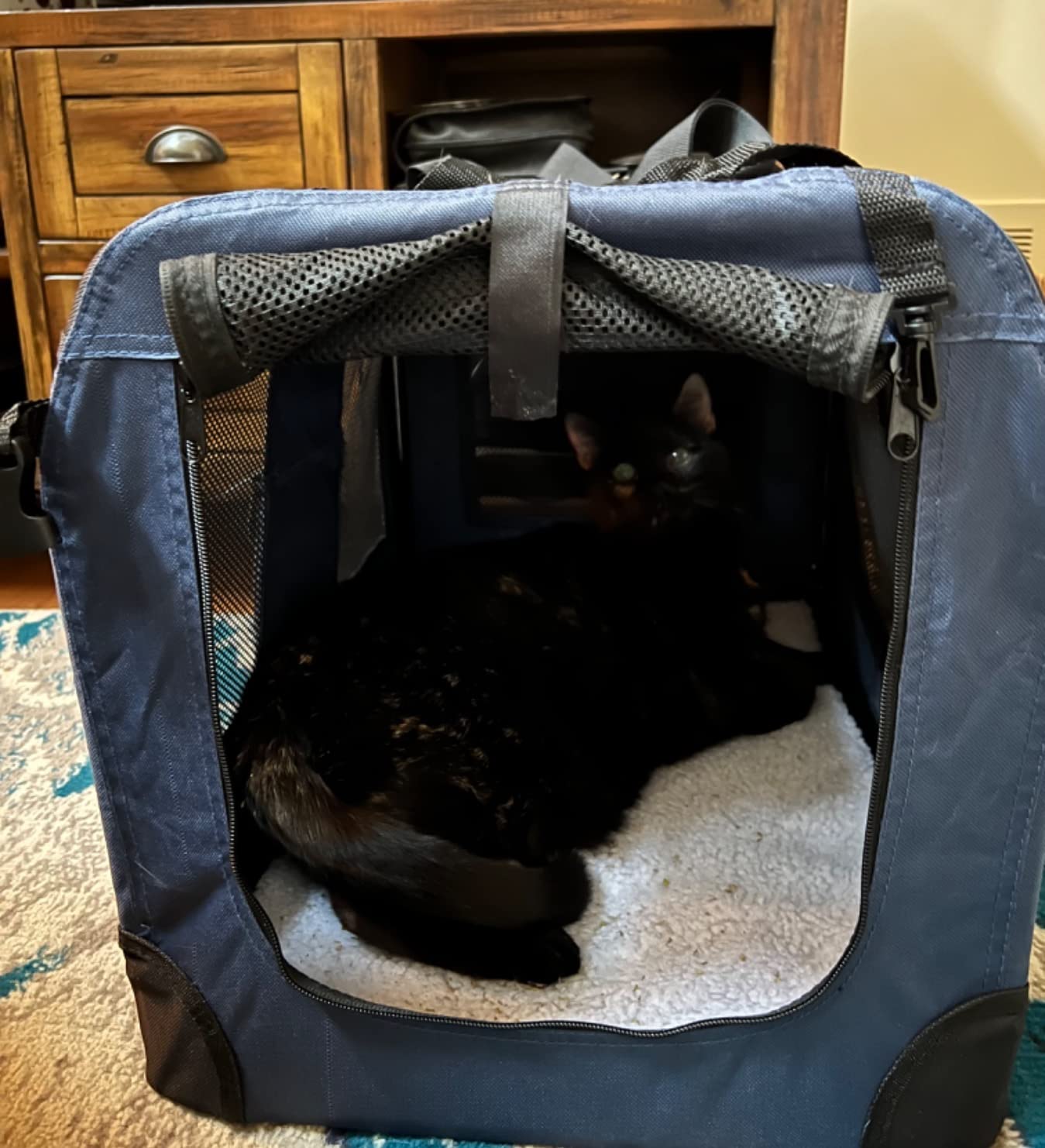 10/mo Finance Petseek Extra Large Cat Carrier Soft Sided Folding